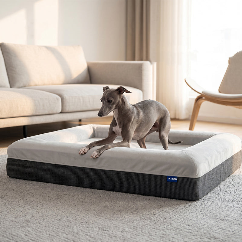 CLASSIC Orthopedic Dog Bed