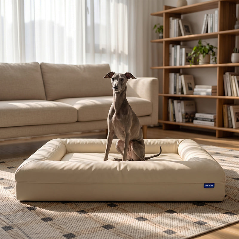RETRO Orthopedic Dog Bed