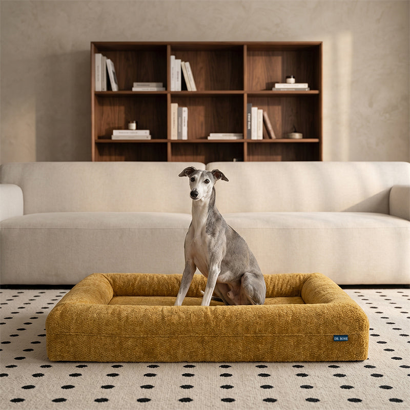 REVERB Orthopedic Dog Bed