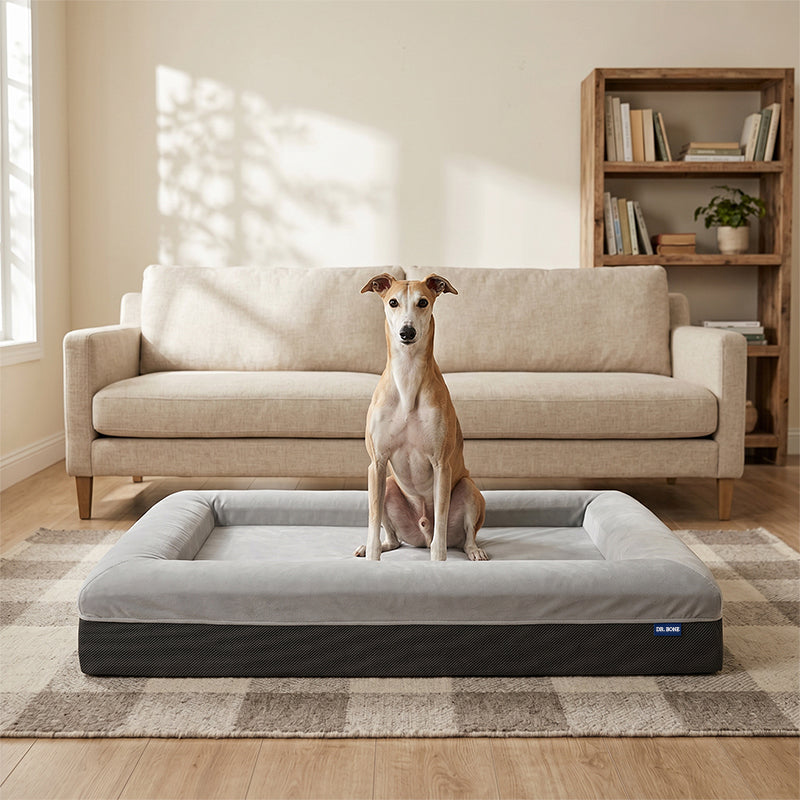 CLASSIC Orthopedic Dog Bed