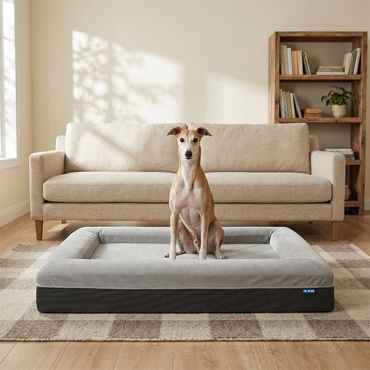 Classic Orthopedic Dog Bed