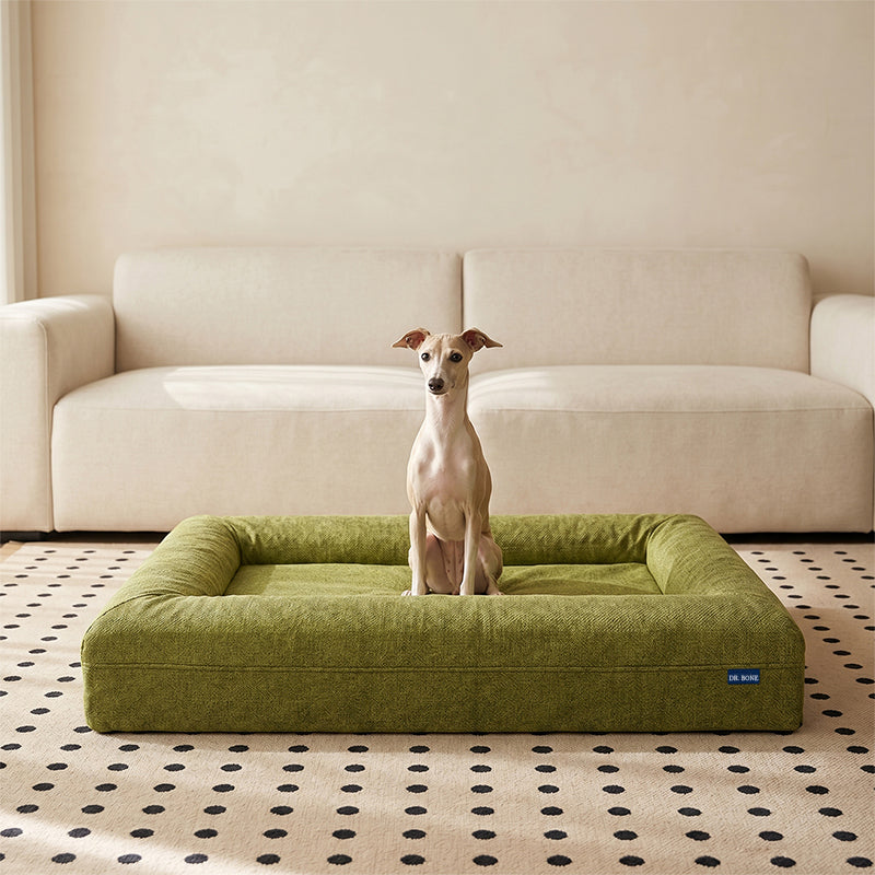 REVERB Orthopedic Dog Bed