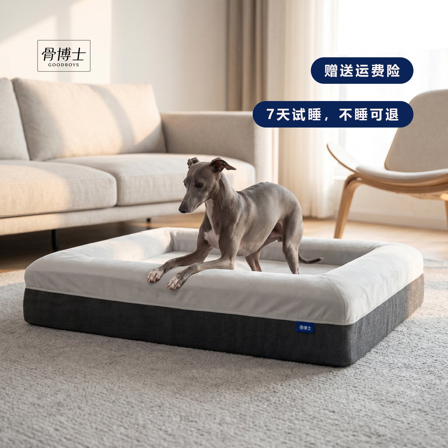 CLASSIC ORTHOPEDIC DOG BED