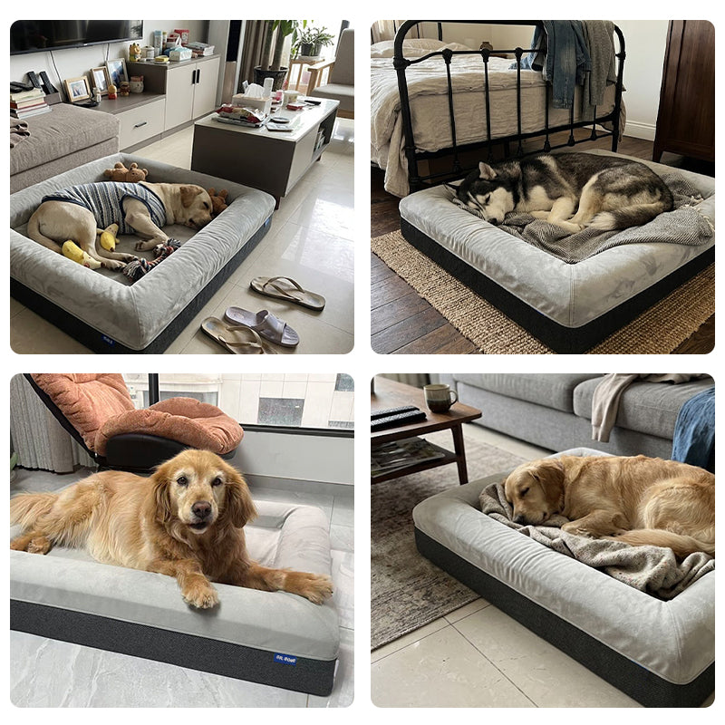 CLASSIC Orthopedic Dog Bed